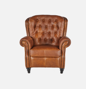Sitara Leather Occasional Chair