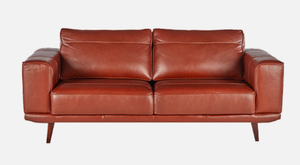 Zander Leather Couch