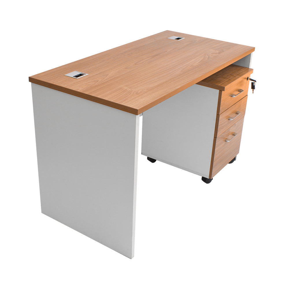DESKS – Rip van Winkel Store